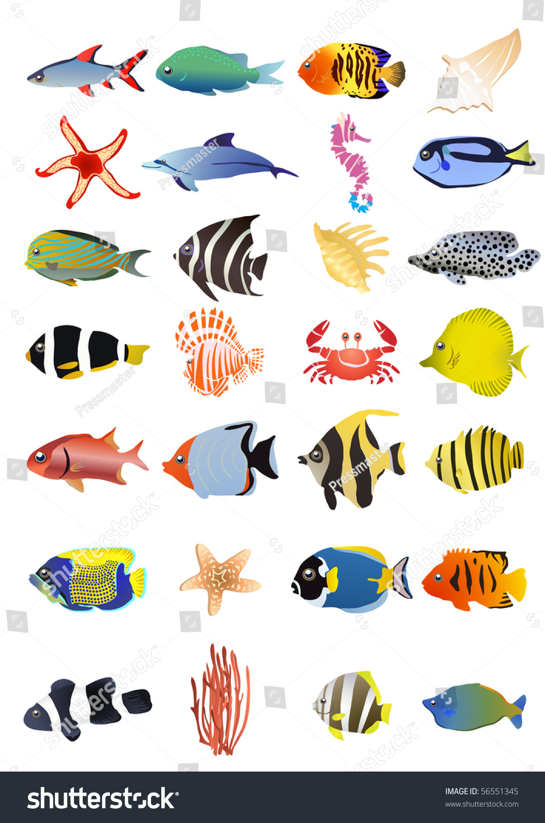 Collection Of Marine Animals, Vector Illustration 56551345 Shutterstock