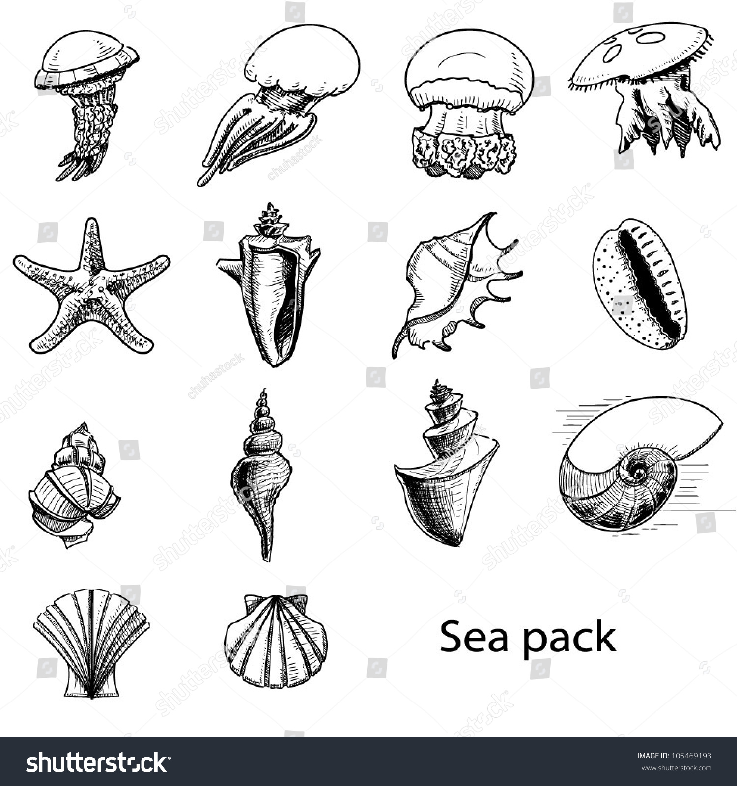 Collection Of Sea Animals. Hand Drawing Sketch Vector Illustration