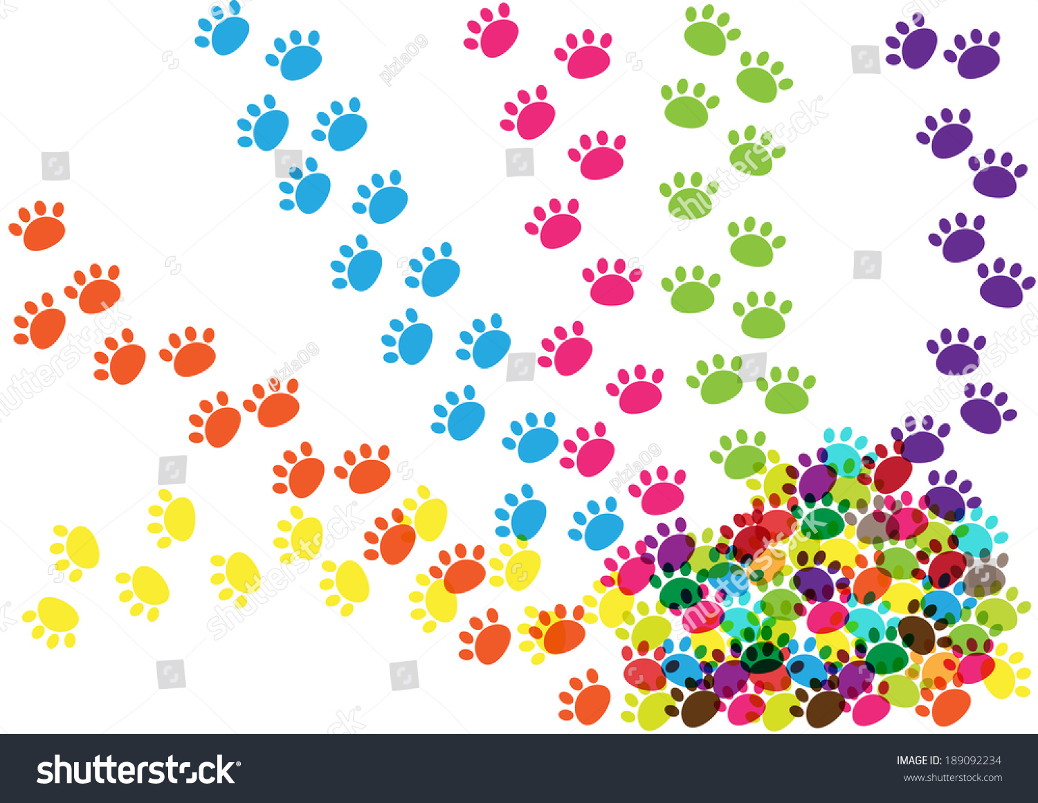 Colorful Cat Paw Prints Isolated On White Background Stock Vector
