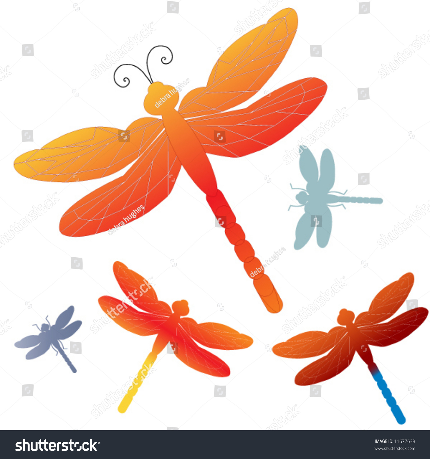 Colorful Dragonflies Stock Vector Illustration 11677639 : Shutterstock