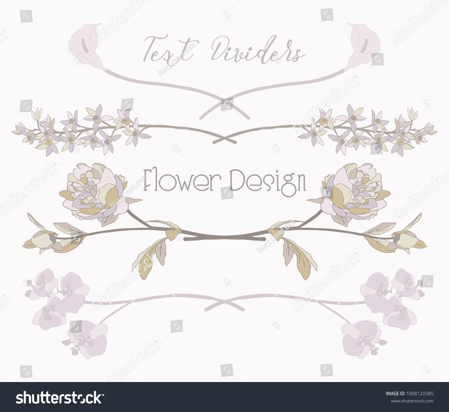 Colorful Hand Drawn Floral Text Dividers Stock Vector Royalty Free