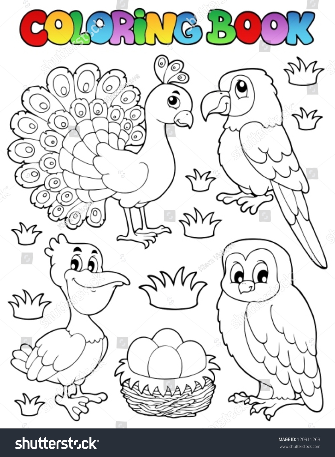 Coloring Book Bird Image 4 - Vector Illustration. - 120911263