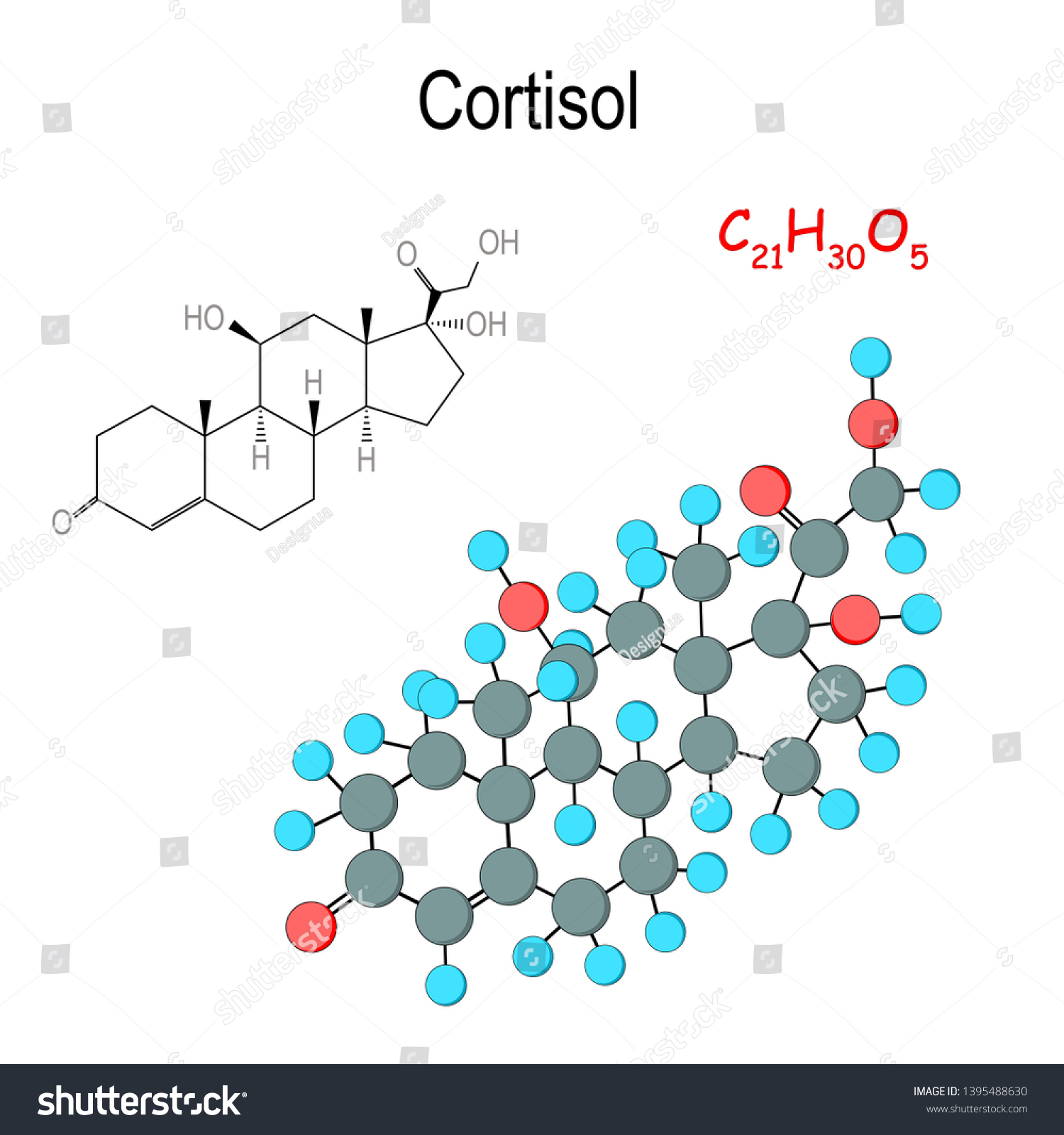 Cortisol Chemical Structural Formula Model Hormone Vector De Stock