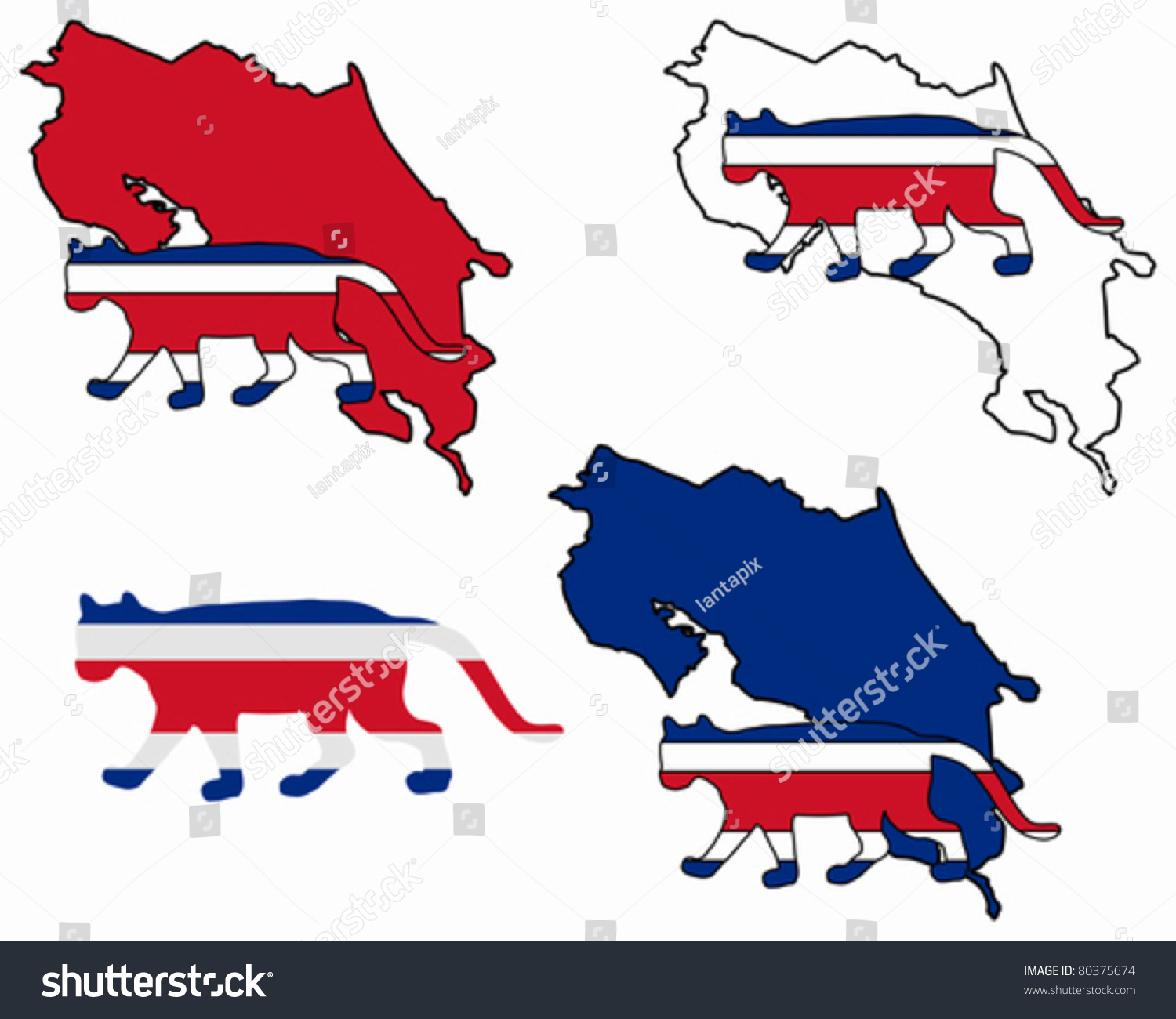 Stock options costa rica