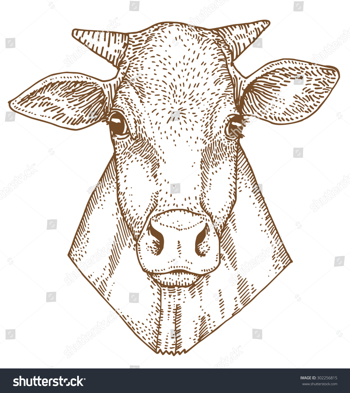 Vektor Stok Cow Head Hand Drawn Vector Illustration Tanpa Royalti