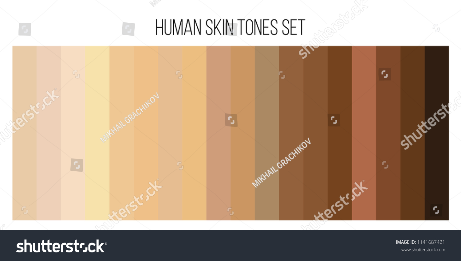 Creative Vector Illustration Human Skin Tone Stock Vector Royalty Free