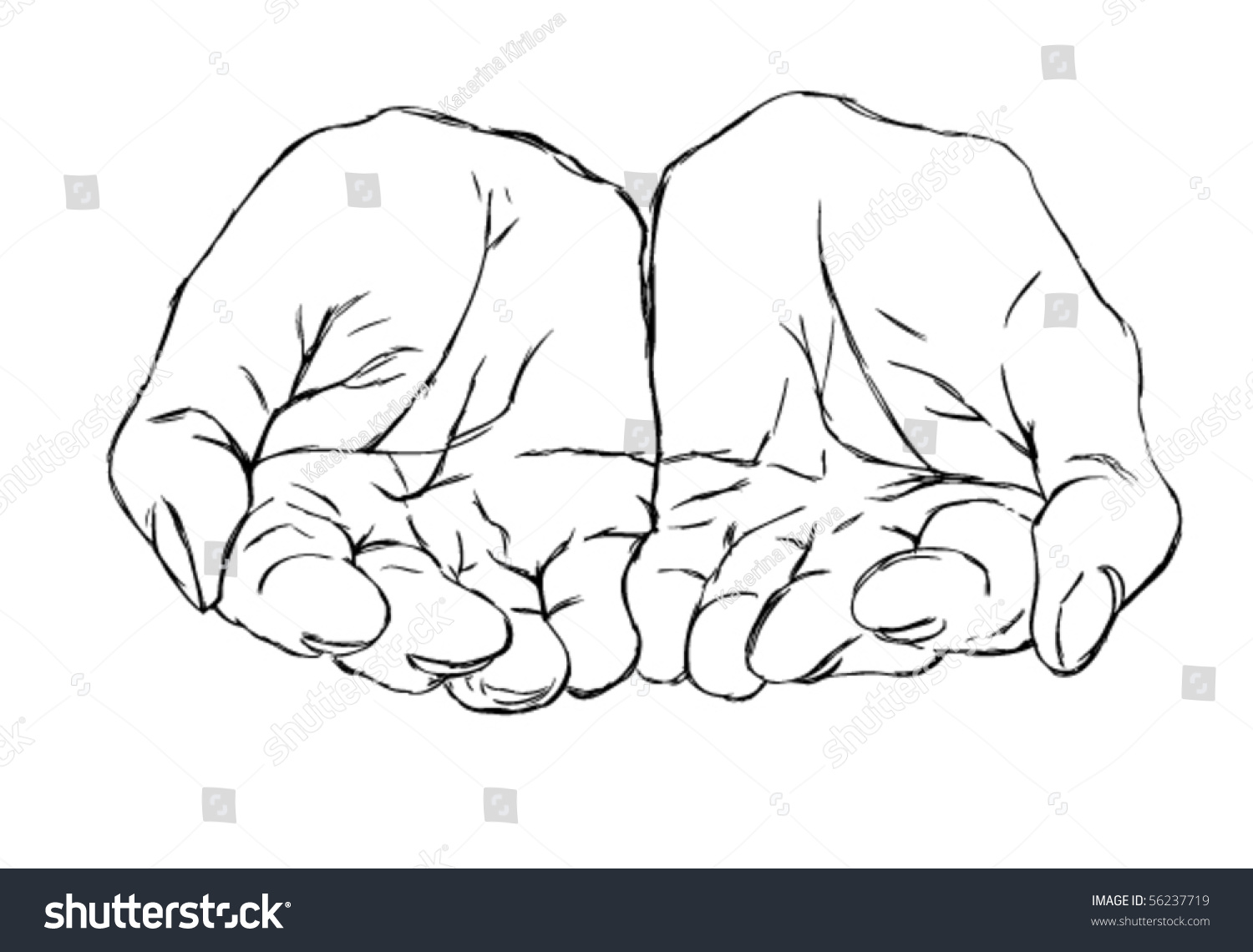 Cupped Hands Stock Vector 56237719 : Shutterstock