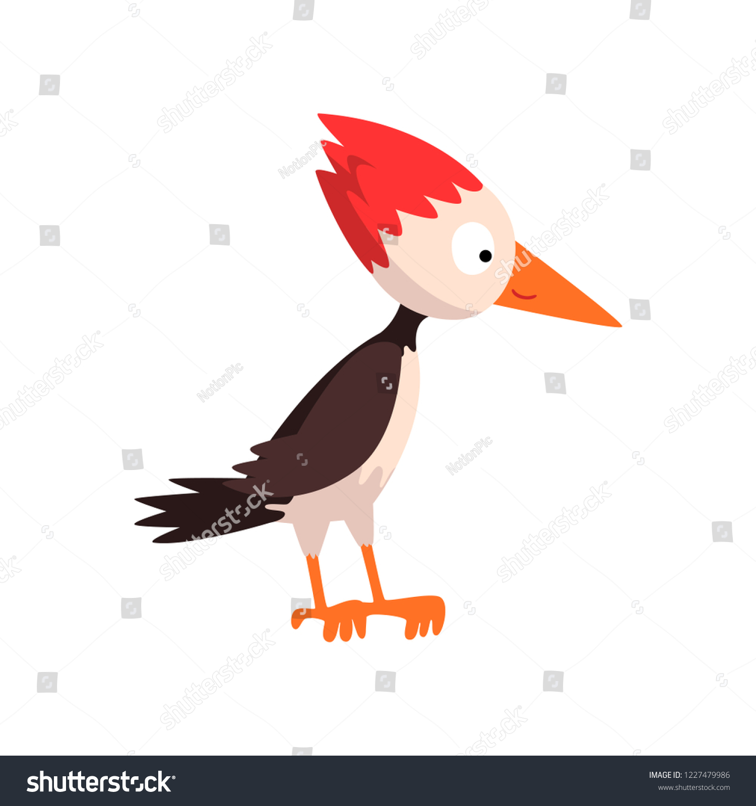 Cute Funny Woodpecker Bird Cartoon Character