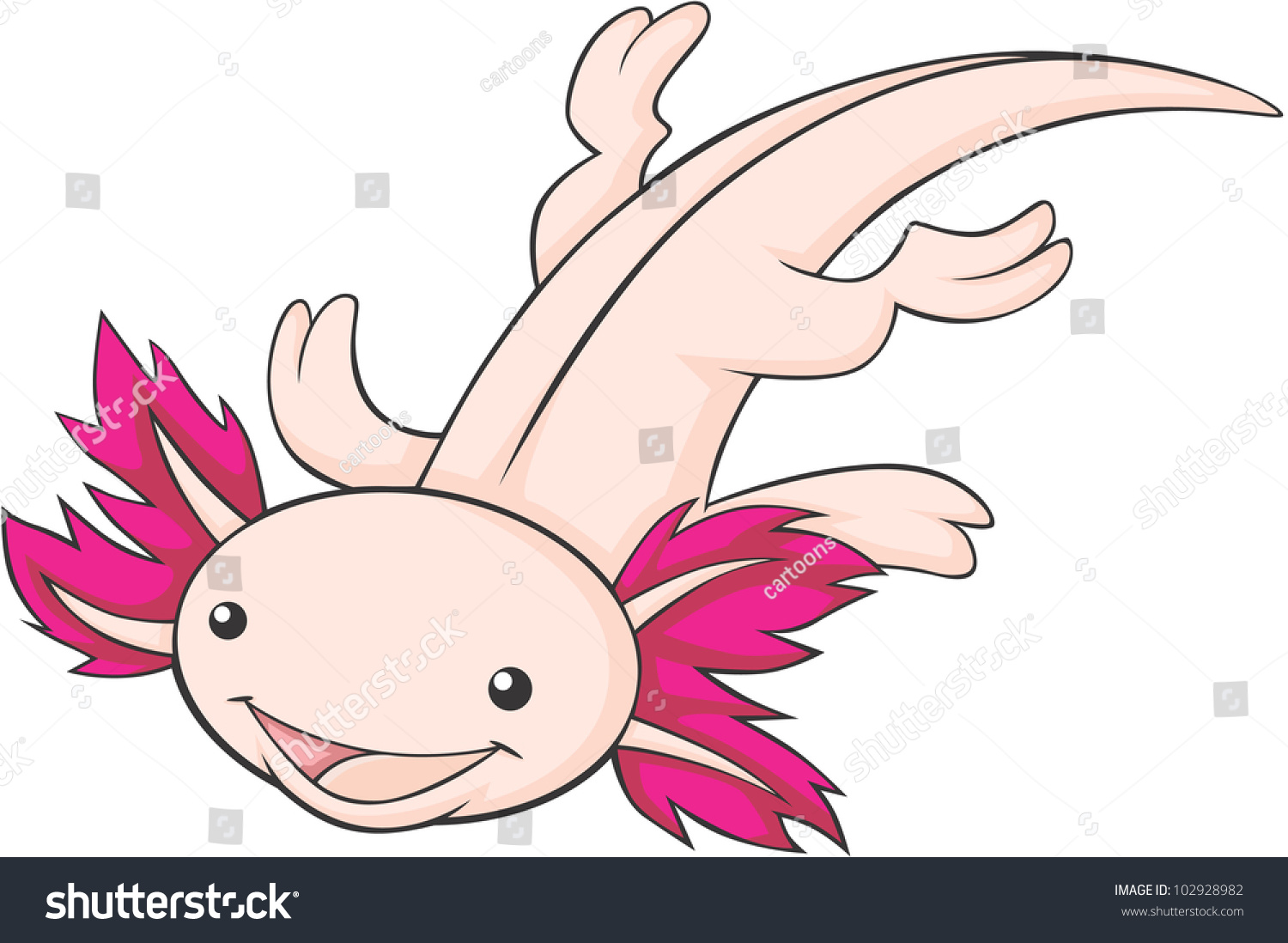 Cute Mexican Axolotl Cartoon Vectores en stock 102928982 : Shutterstock