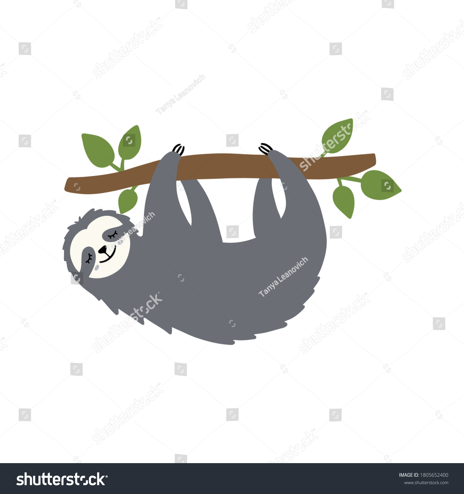 Cute Sloth Hanging On Tree Branch Stock Vector Royalty Free