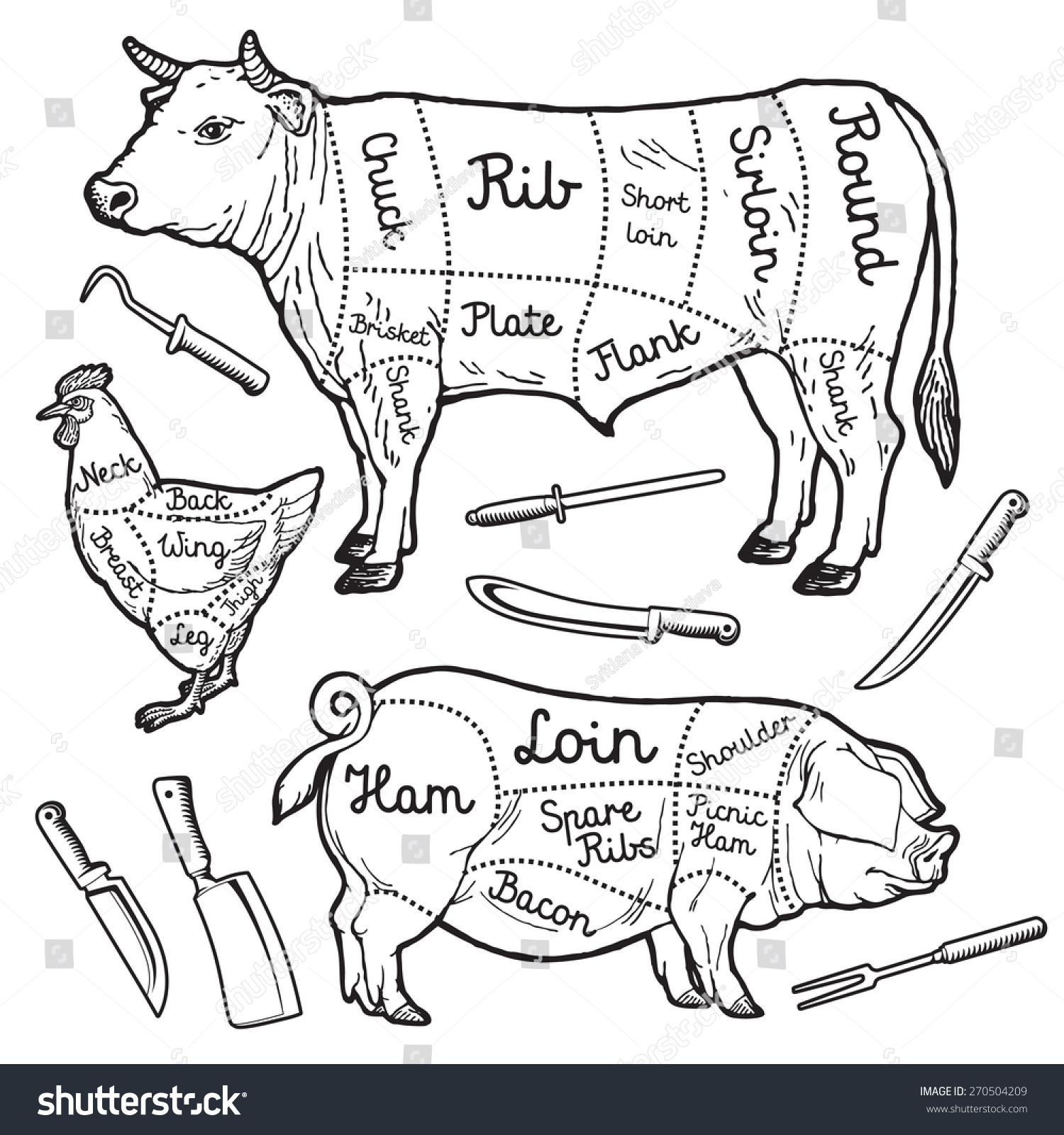 Cuts Meat Chicken Pork Beef Set Stock Vector Shutterstock