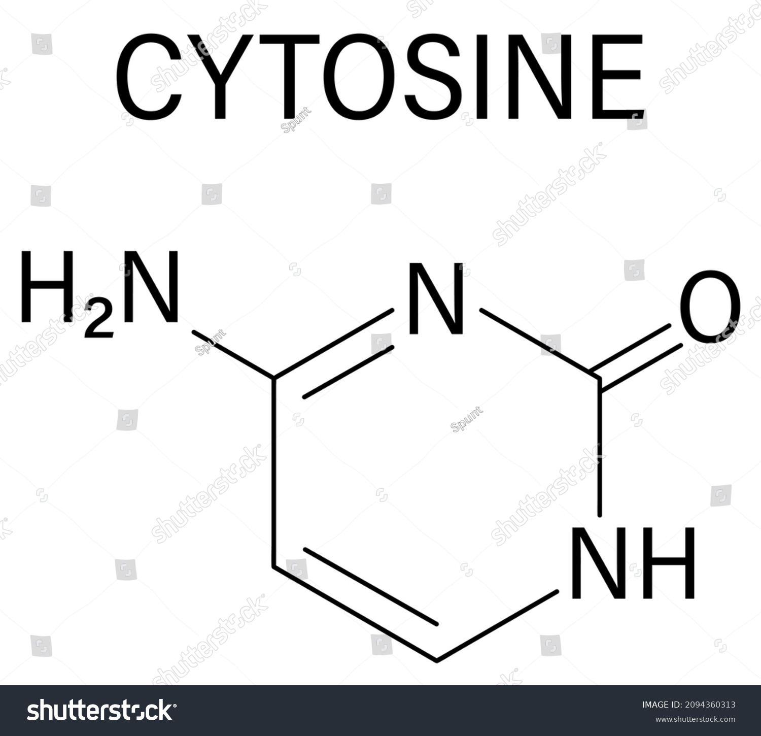 Cytosine Pyrimidine Nucleobase Component One Bases Stock Vector