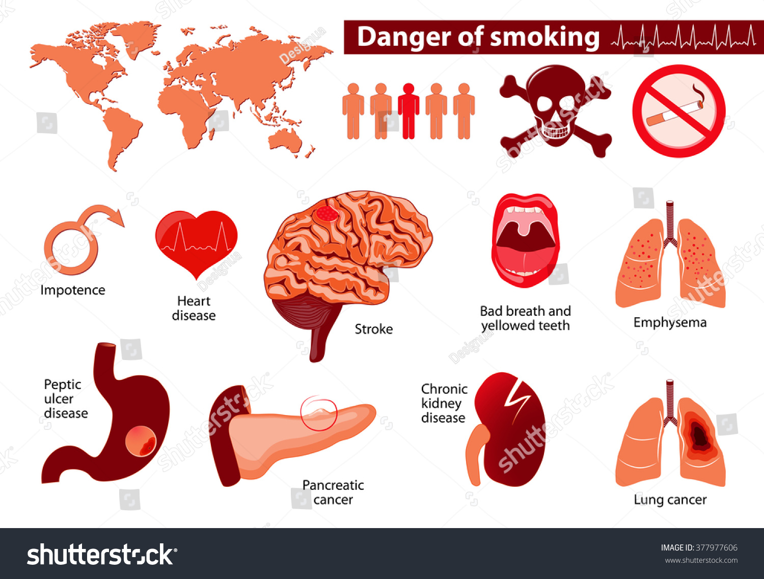 Danger Smoking. Signs, Symptoms, Stage And Risk Factors. Medical Infographic. Set Elements And