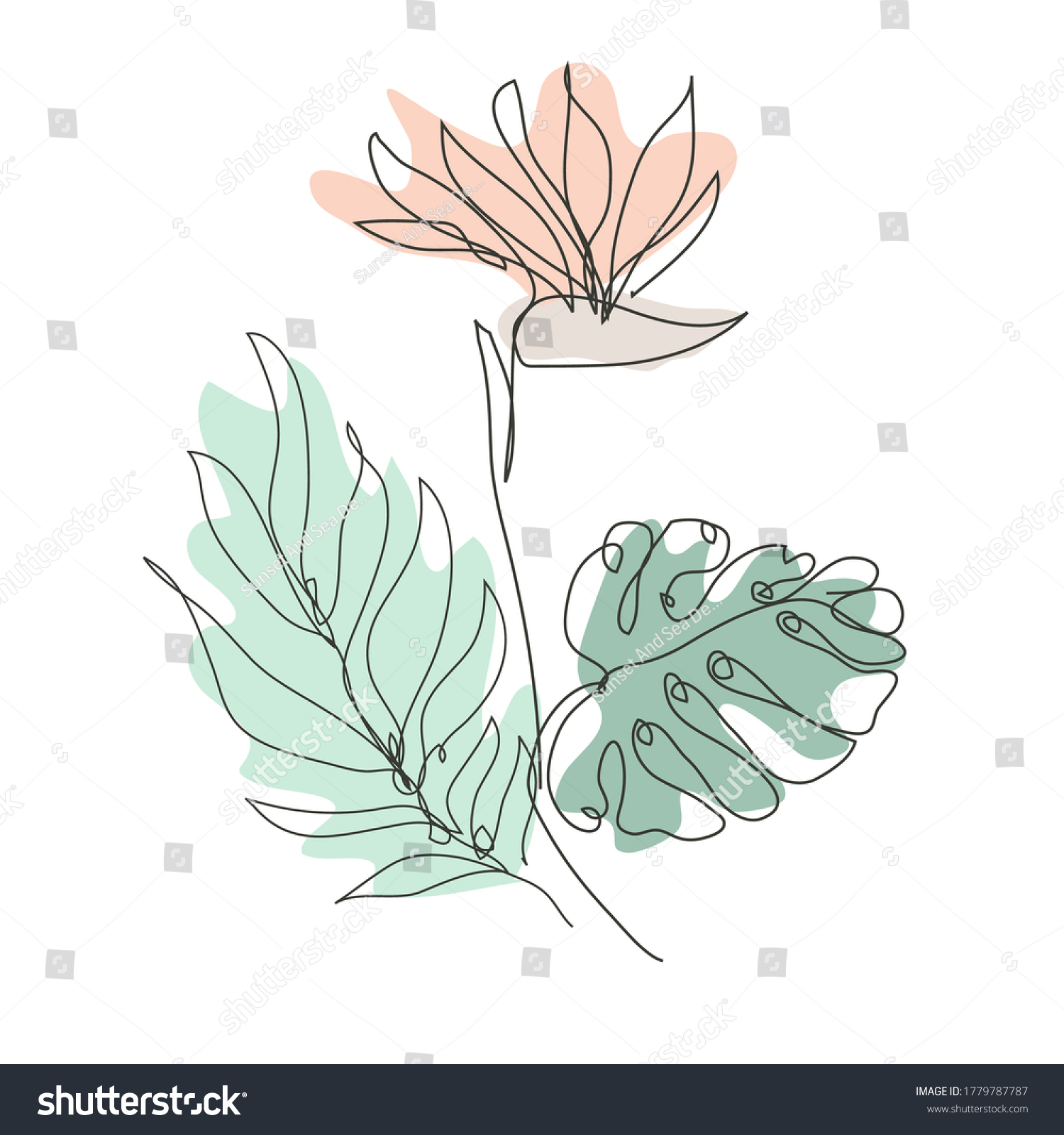 3 200 Birds Paradise Flower Sketch Images Stock Photos Vectors