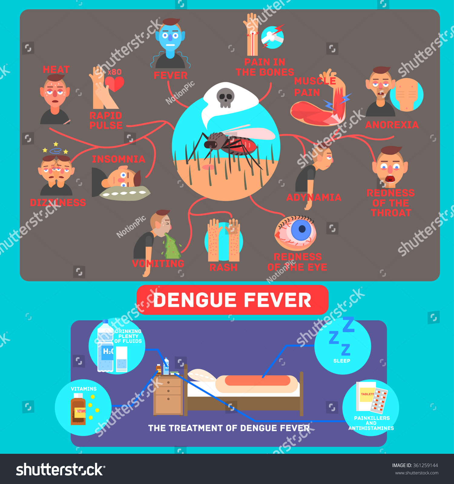 Dengue Fever Infographics. Flat Vector Illustration Poster The Symptoms ...