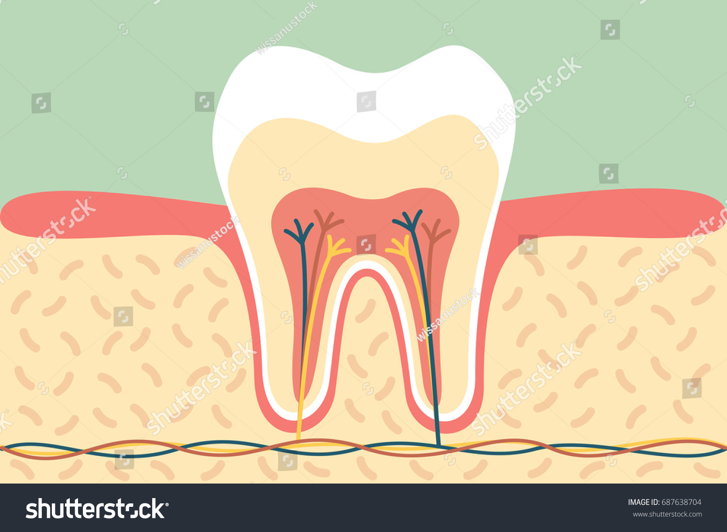 Vektor Stok Dental Cartoon Flat Vector Healthy Tooth Tanpa Royalti