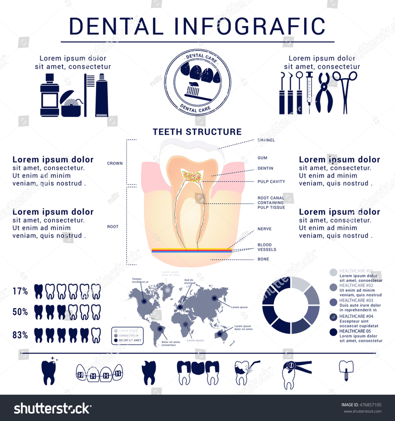 Dental Infographic Teeth Structure Stock Vector 476857105 Shutterstock