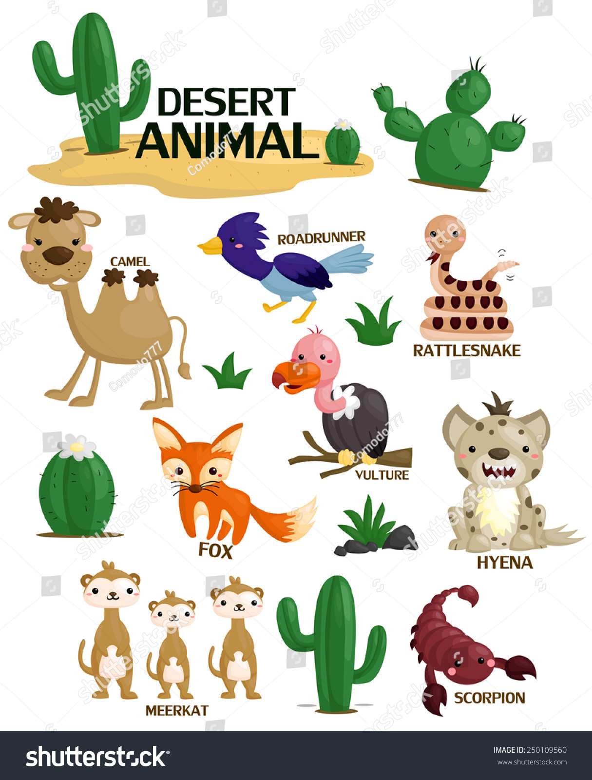 Desert Animal Vector Set 250109560 Shutterstock