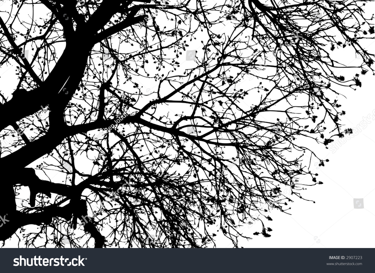 Detailed ,Intricate Tree Branches Stock Vector Illustration 2907223