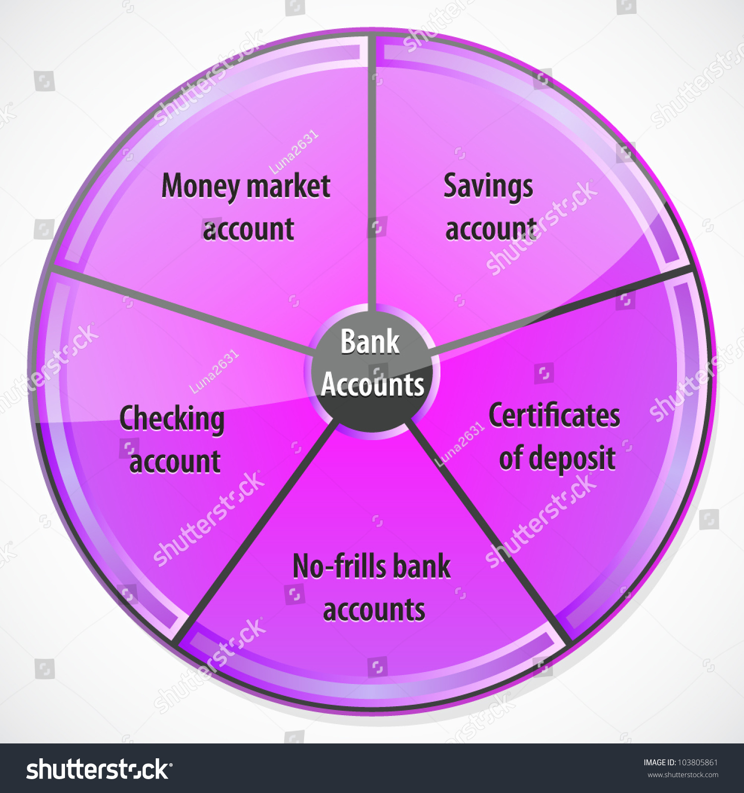 How Much Type Of Account In Bank