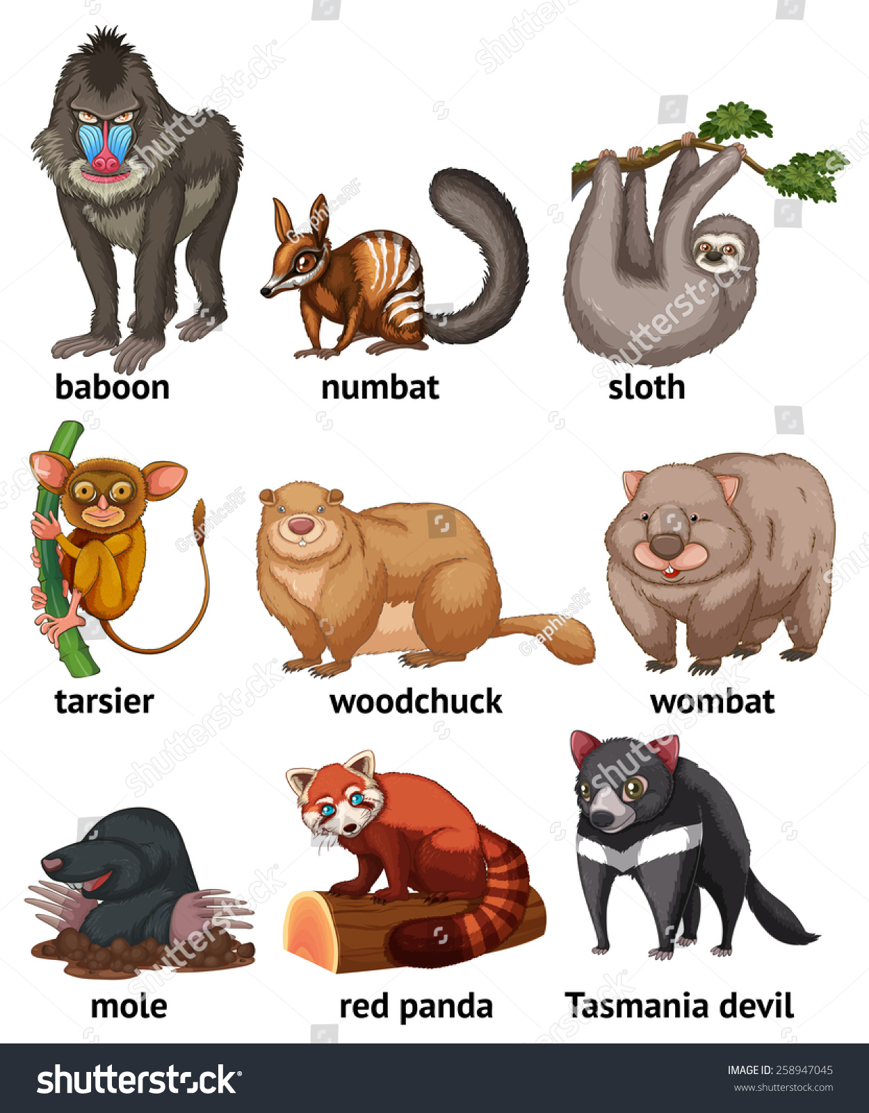 clipart of different animals - photo #49
