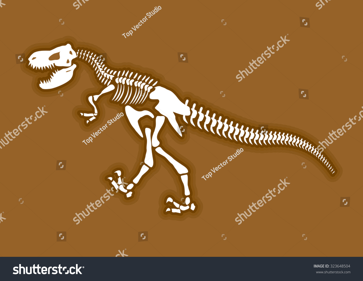 dinosaur bones in ground