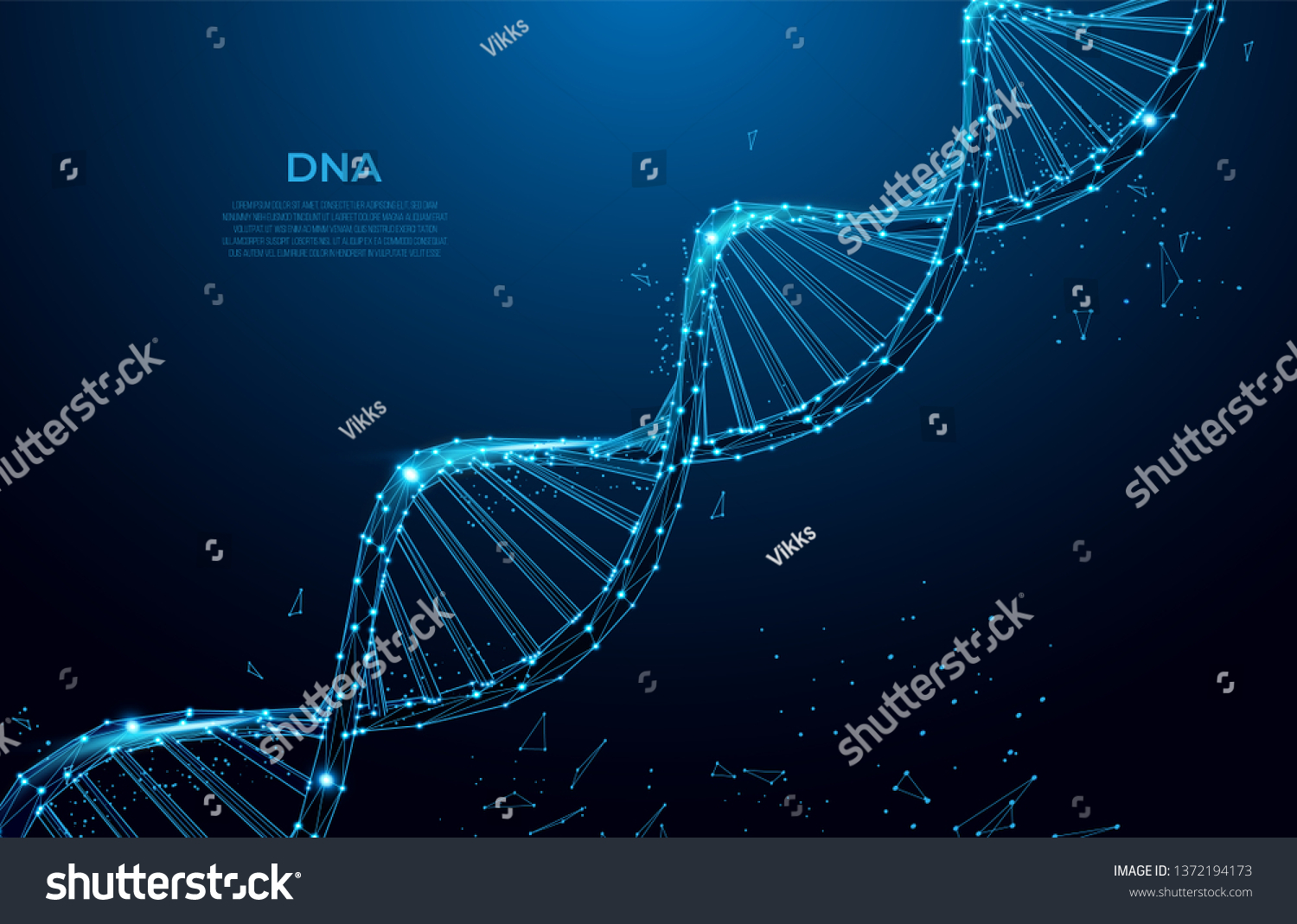 Dna Abstract D Polygonal Wireframe Dna Stock Vector Royalty Free