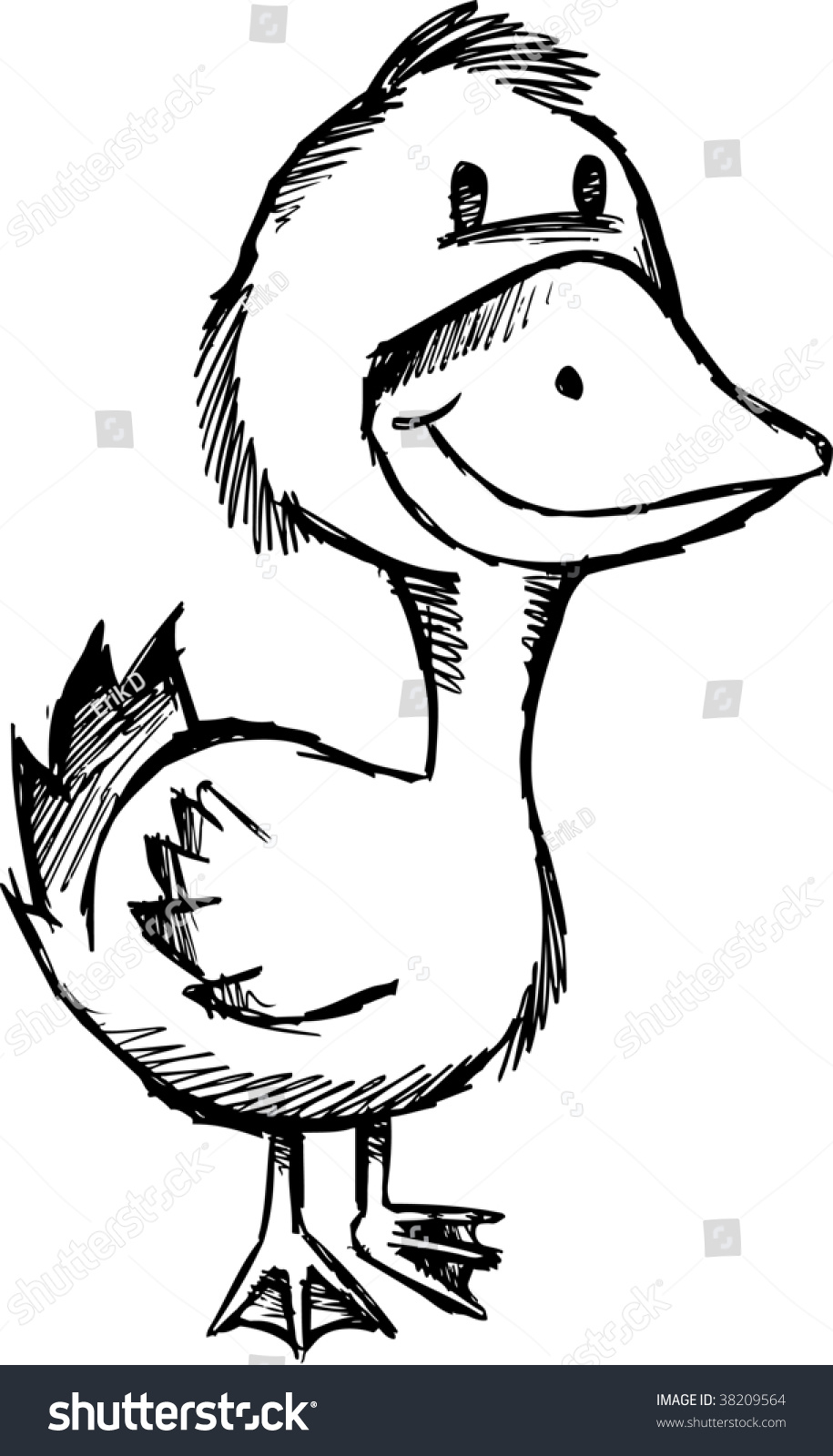 Doodle Sketchy Duck Vector Illustration Stock Vector 38209564