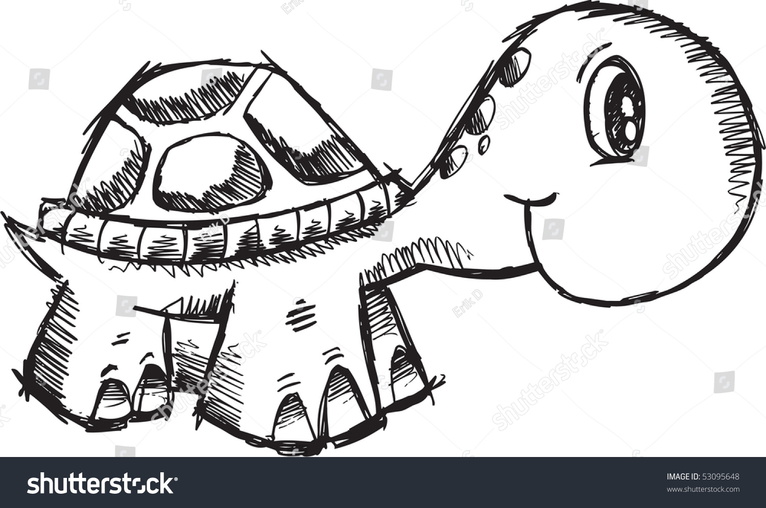 Doodle Sketchy Turtle Vector Illustration - 53095648 : Shutterstock