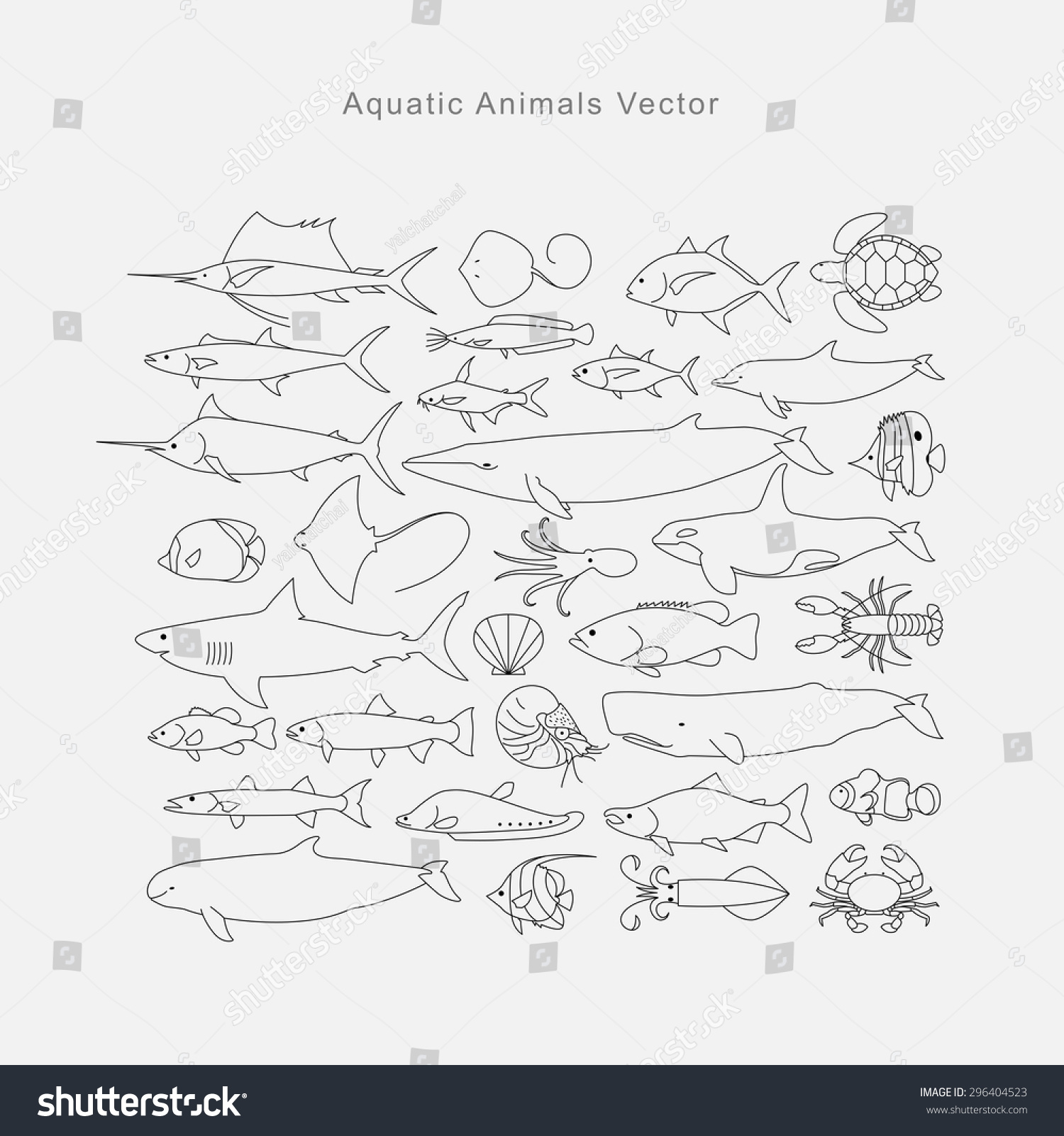 Drawing Aquatic Animals, Vector - 296404523 : Shutterstock