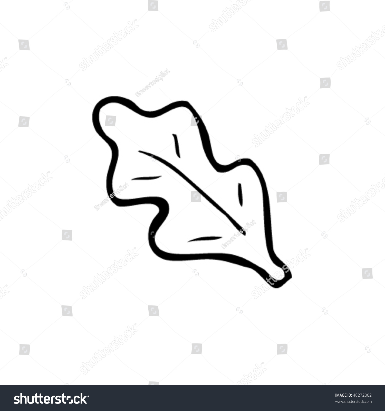 Drawing Of An Oak Leaf Stock Vector Illustration 48272002 : Shutterstock