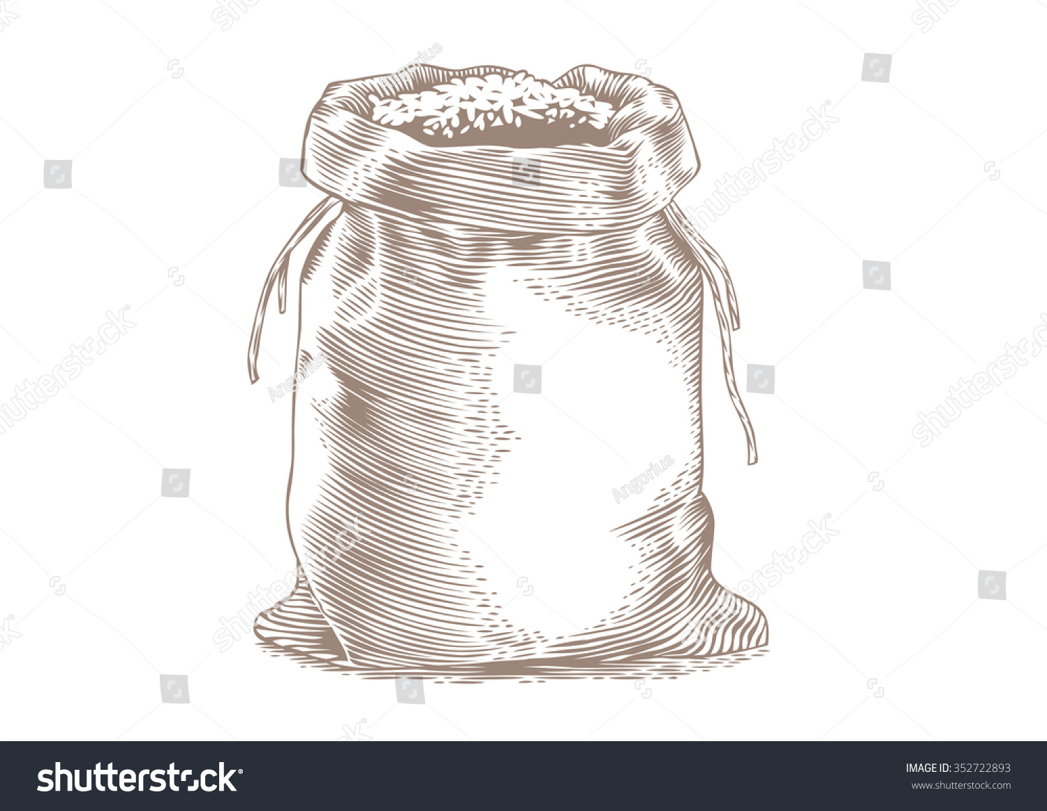 Drawing Of The Sack With The Rice On The White Stock Vector