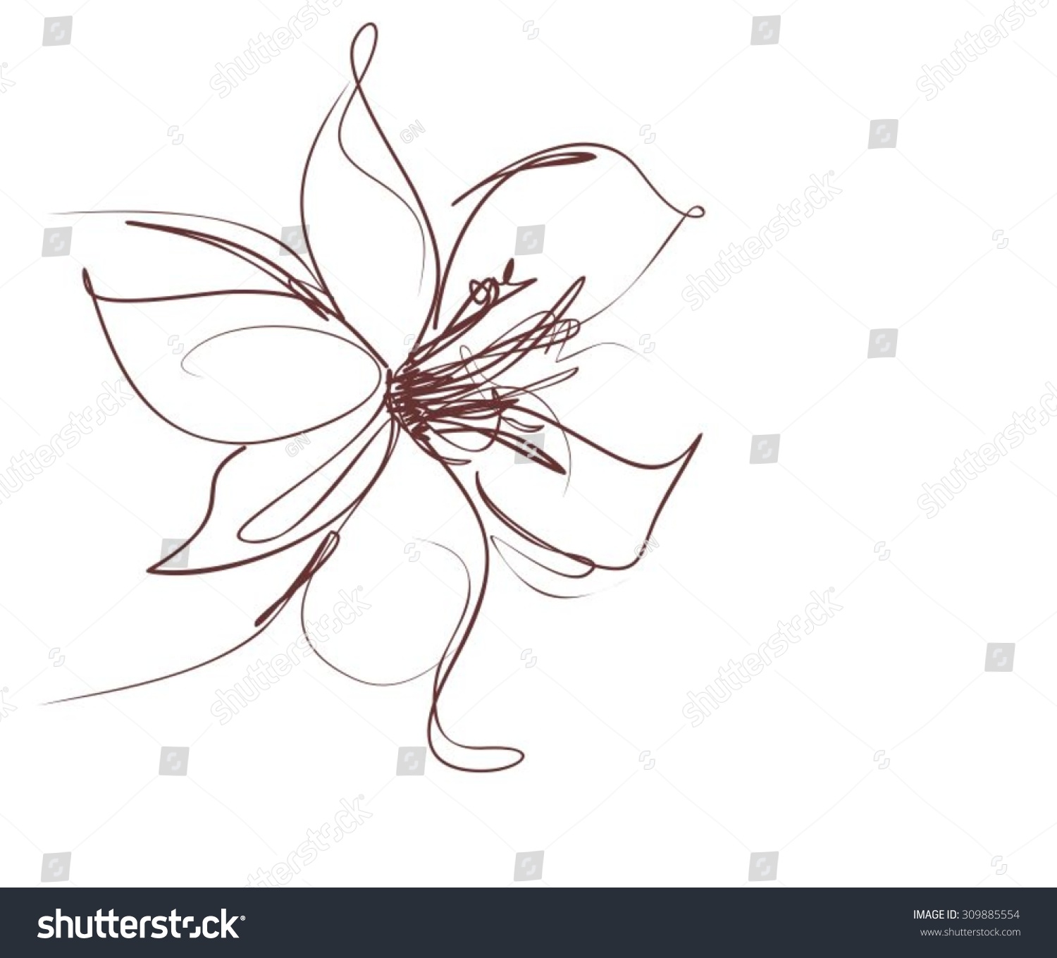 Drawing vector graphics with floral pattern for design Floral flower natural design Graphic sketch drawing lily tulip Drawing vector graphics with floral pattern for design Floral flower natural design Graphic sketch drawing lily tulip