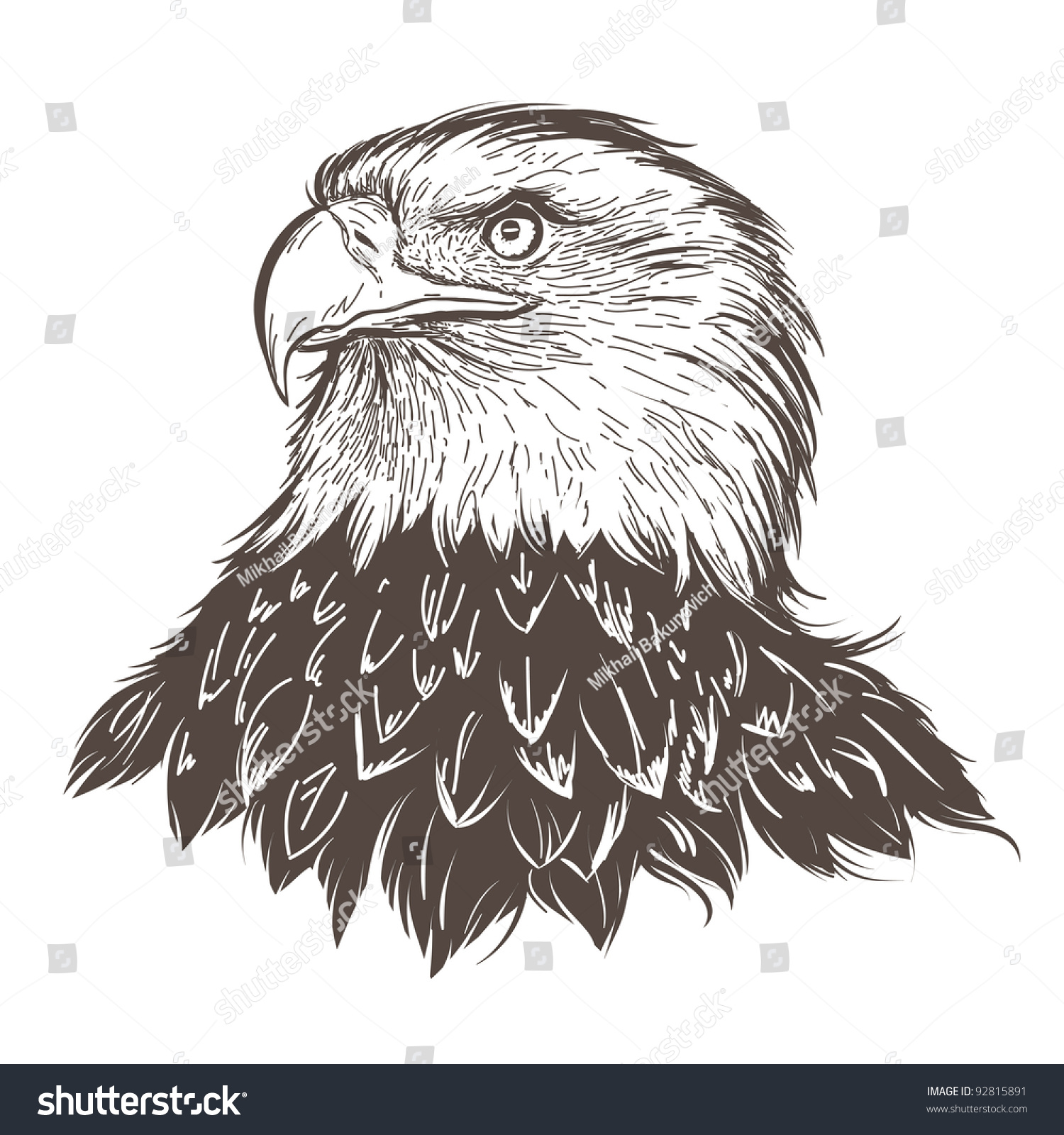 Eagle Stock Vector Illustration 92815891 : Shutterstock