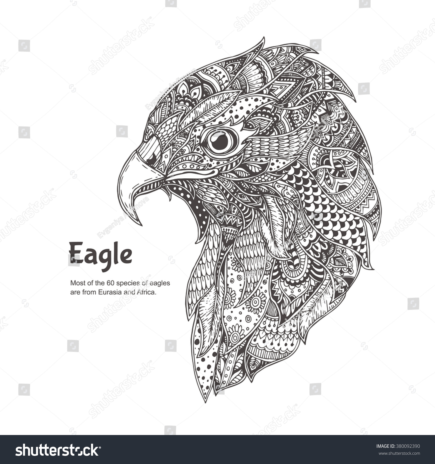 eagle coloring pages for adults - photo #34