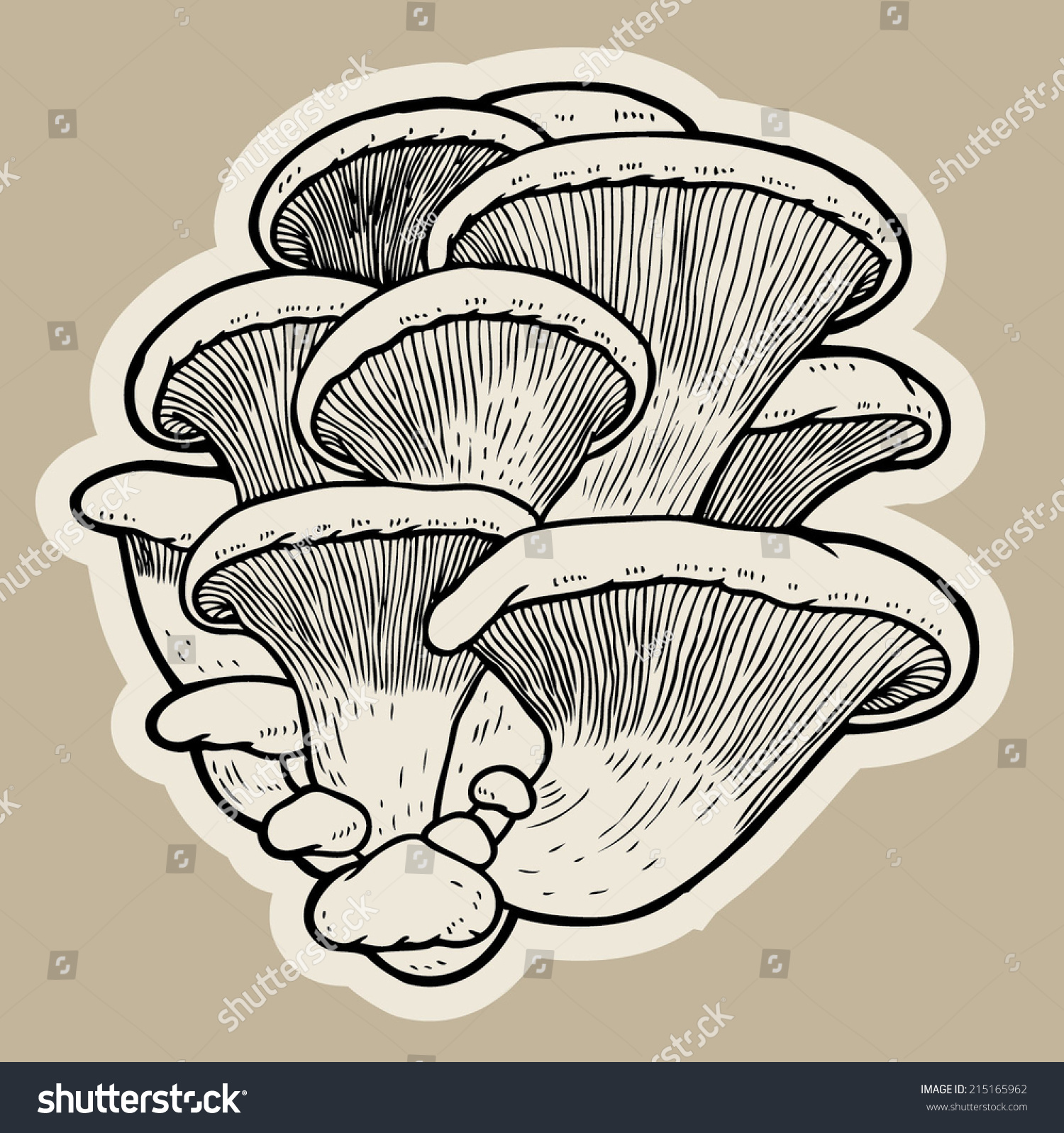 oyster mushroom clip art - photo #17