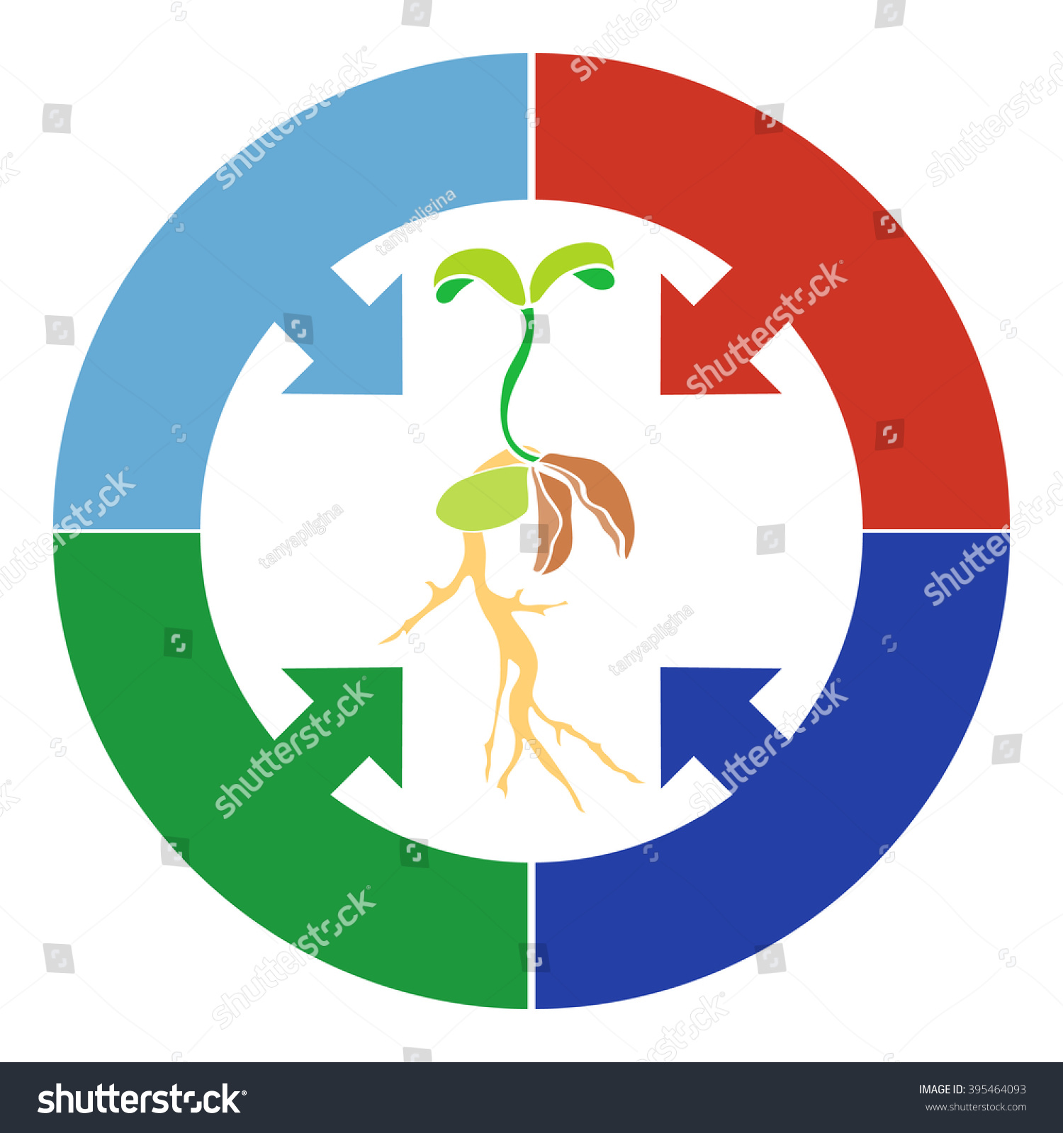 Elements Infographic Plant Growth Stage Germination Stock Vector