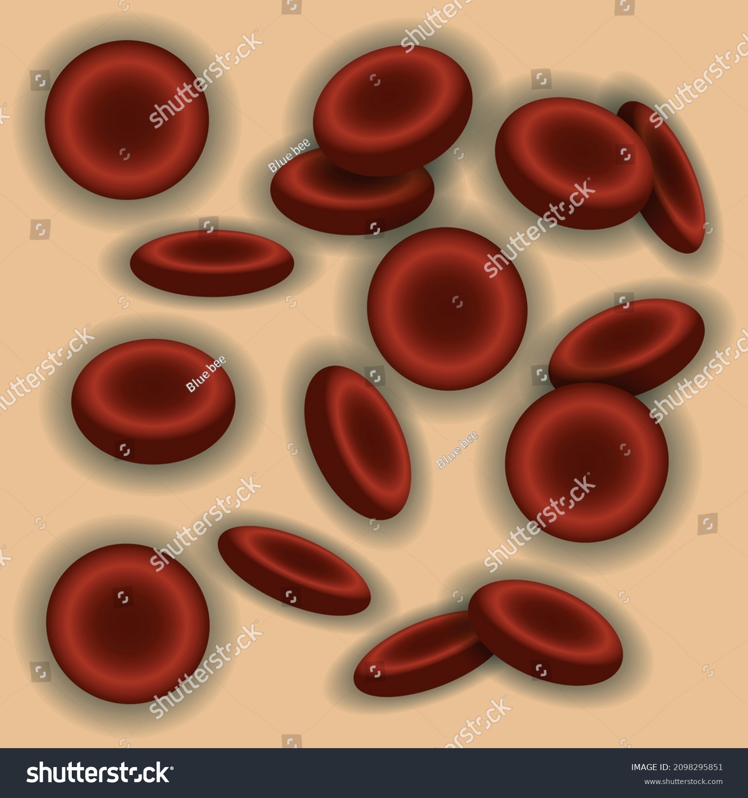 Erythrocytes Red Blood Cells Vector Illustration Stock Vector Royalty