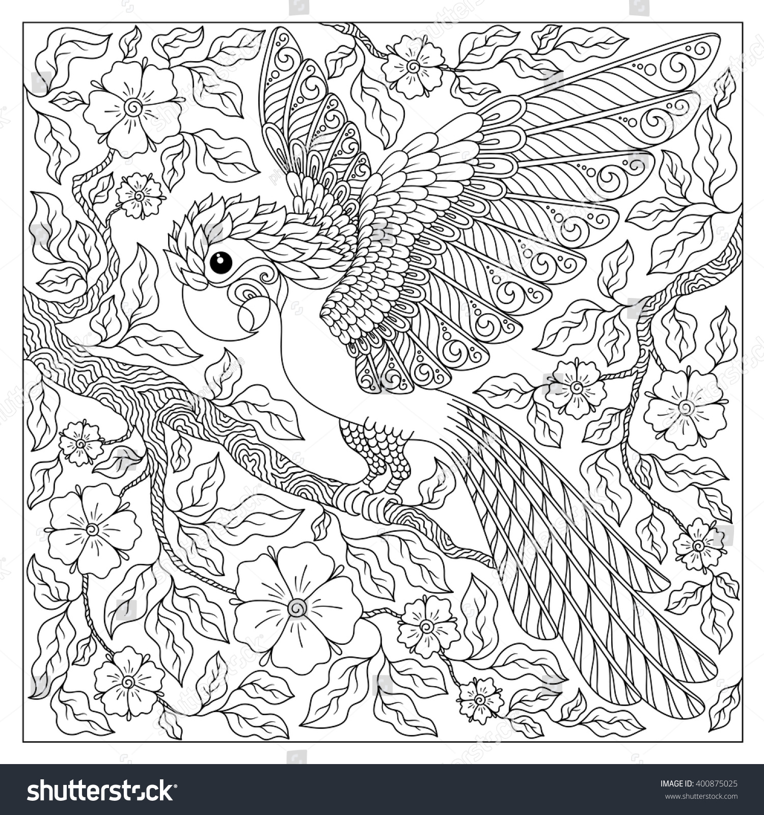 Contour Line Drawing Bird : Exotic birdfantastic flowersbranches leavescontour thin