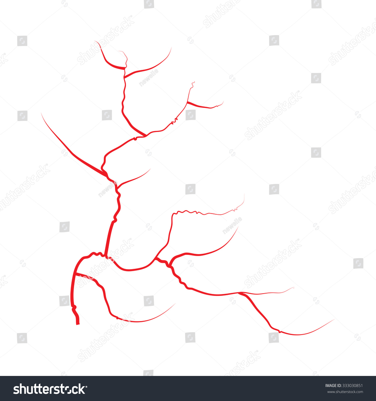 clipart of blood vessels - photo #22
