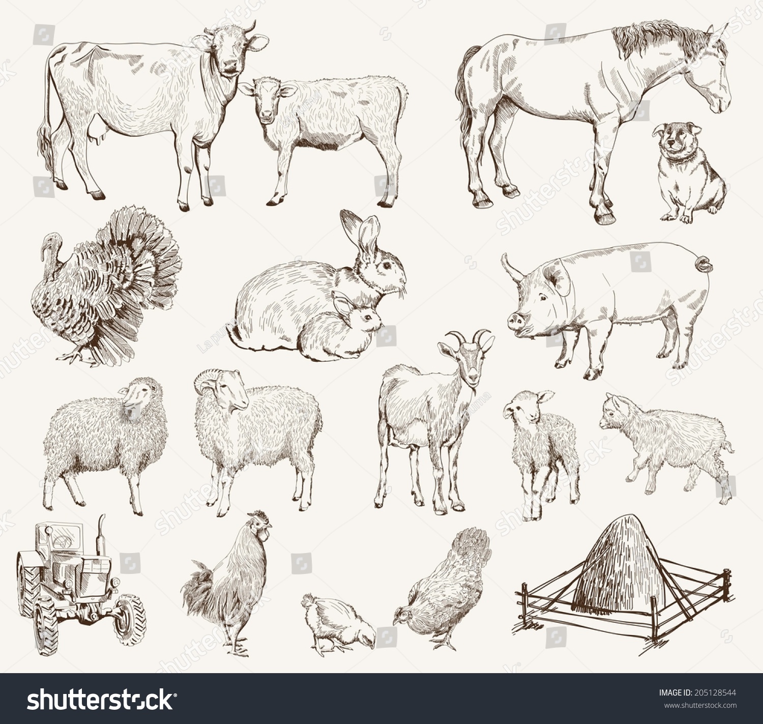 Farm Animals. Set Of Vector Sketches On A White Background - 205128544 