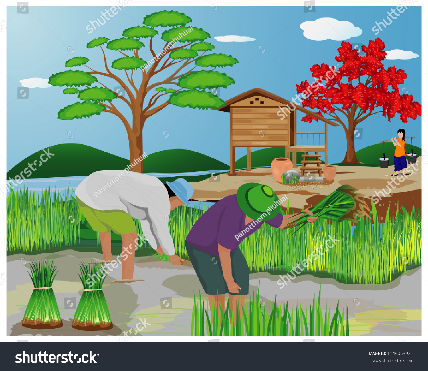 Farmer Work Paddy Field Vector Design Stock Vector Royalty Free