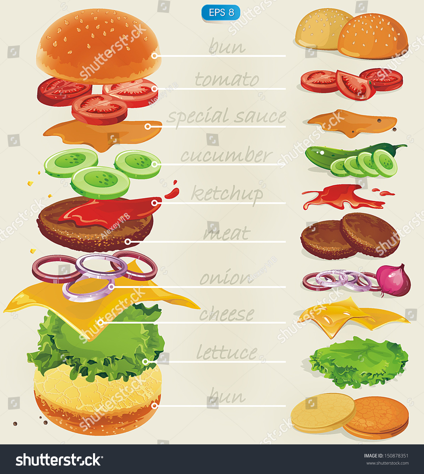 fastfood-hamburger-ingredients-with-text-vector-illustration