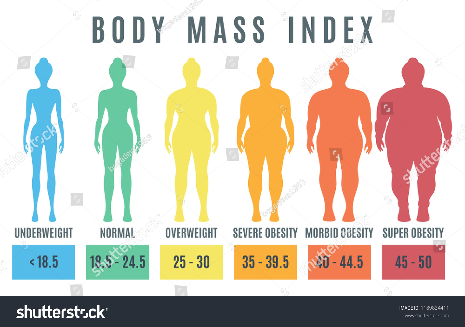 Female Body Mass Index Underweight Super Stock Vector Royalty Free