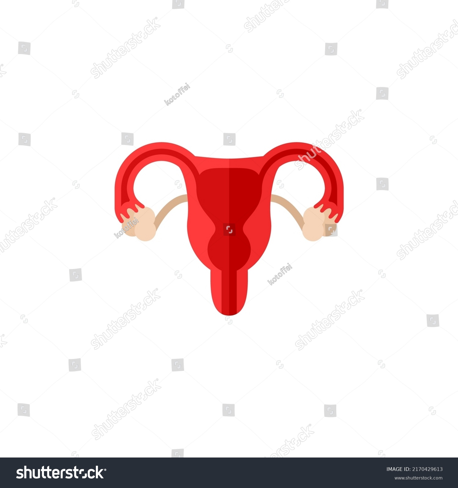 Female Reproductive System Anatomy Abstract Flat Stock Vector Royalty