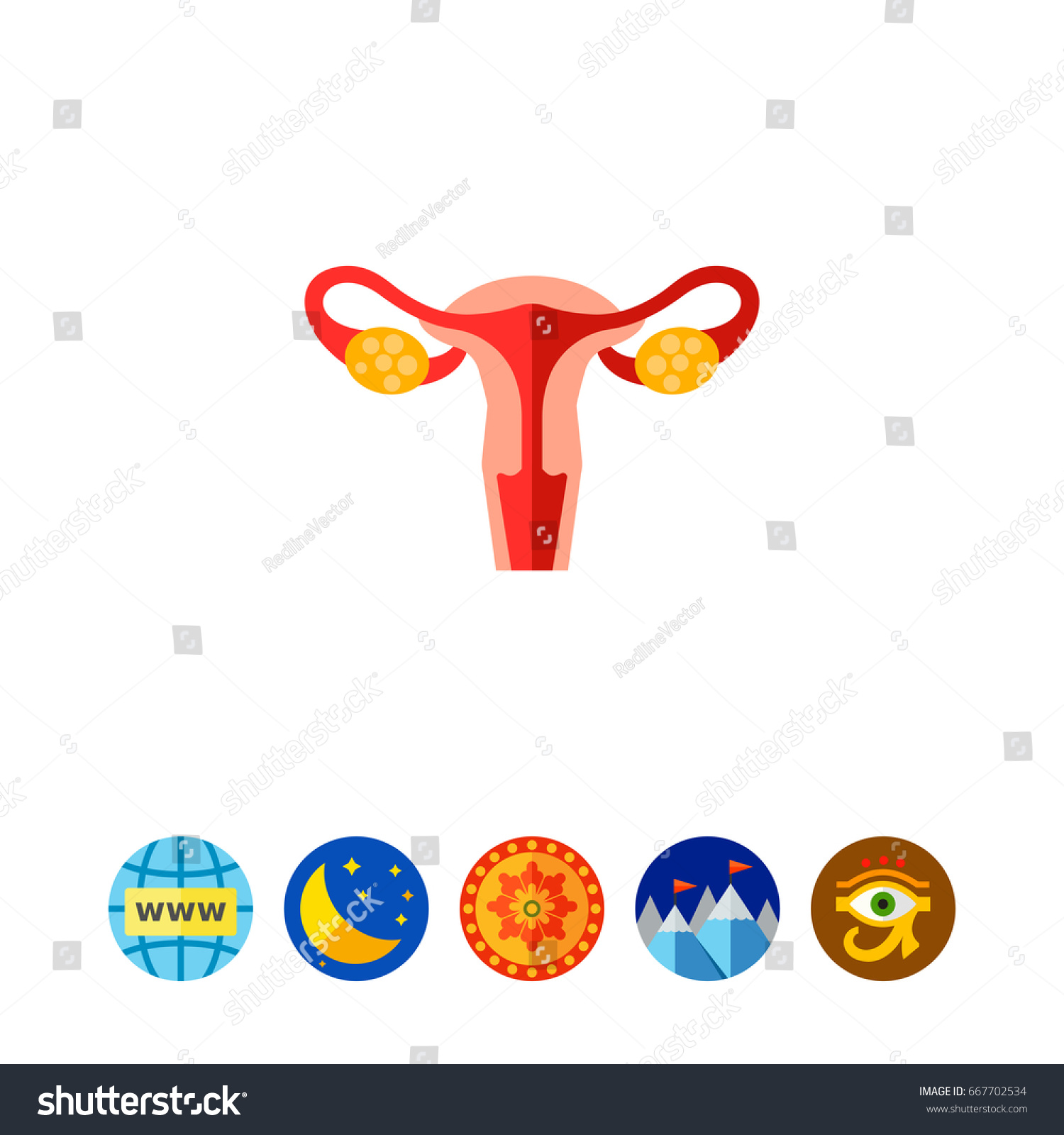 Female Reproductive System Vector Icon Stock Vector Royalty Free