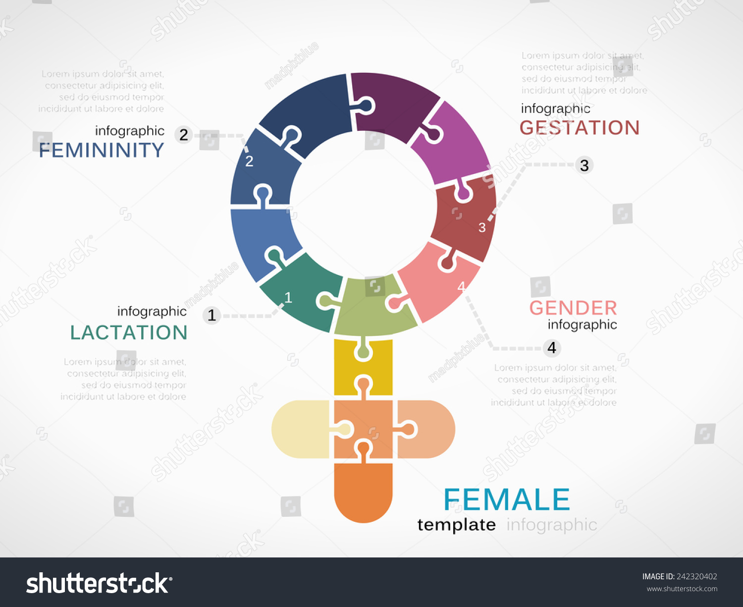 Female Symbol Infographic Template Puzzled Jigsaw Stock Vector 242320402 Shutterstock Gender Infographic Template