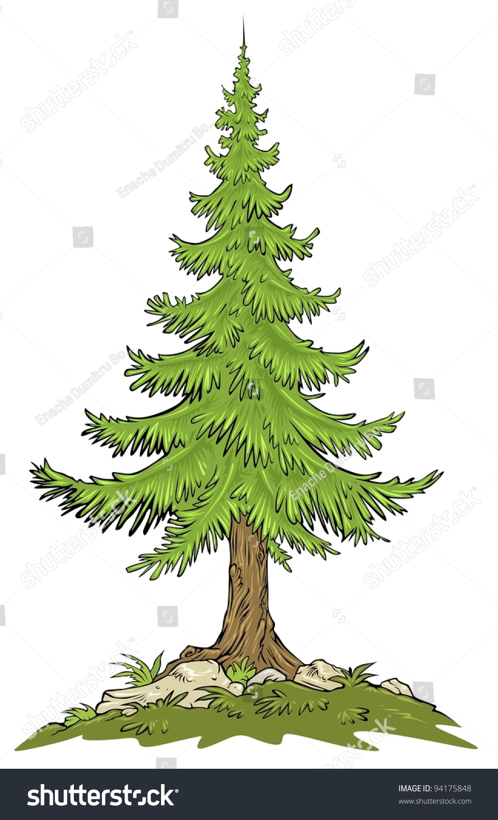 fir tree clipart - photo #32