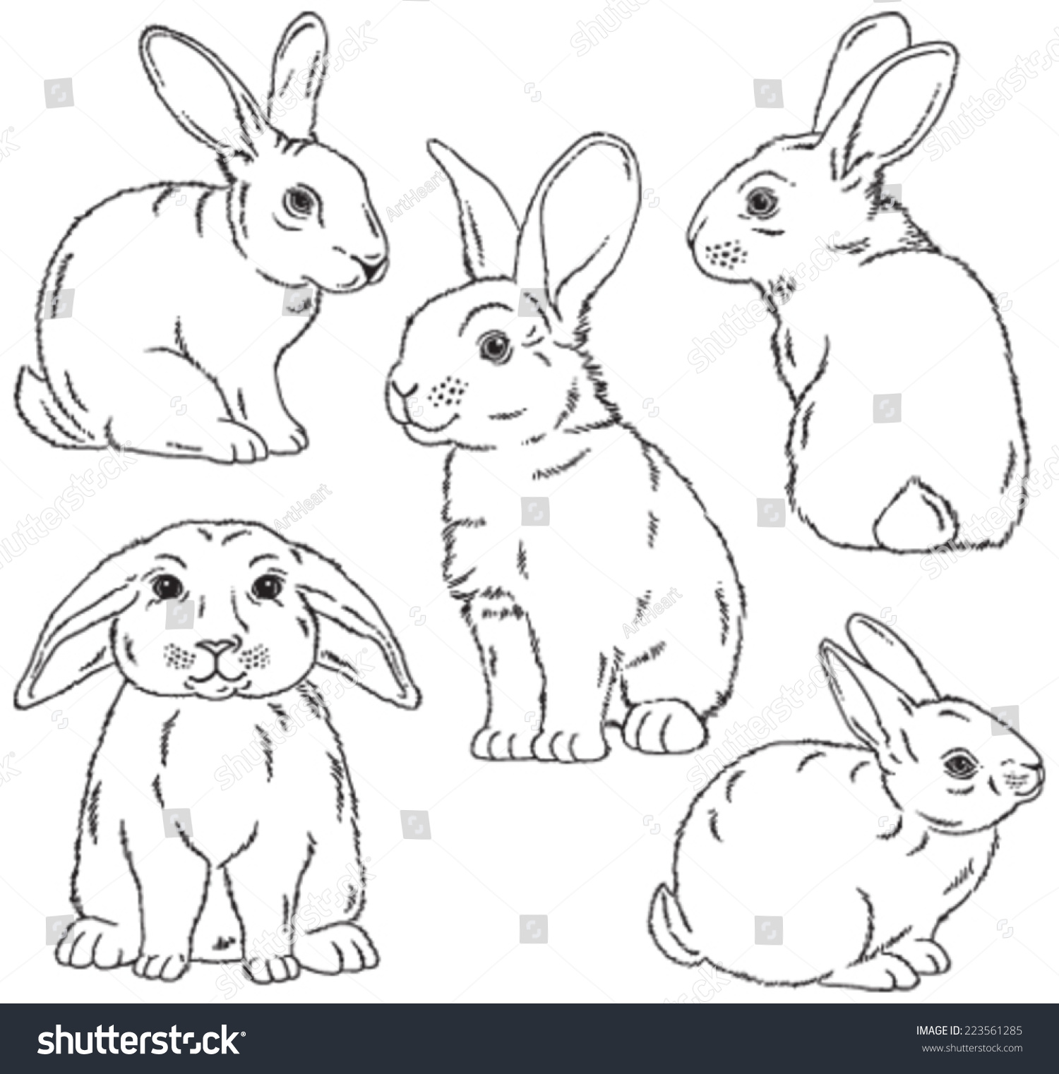 Five Black And White Sketches Of Cute Rabbits Sitting In Various Poses