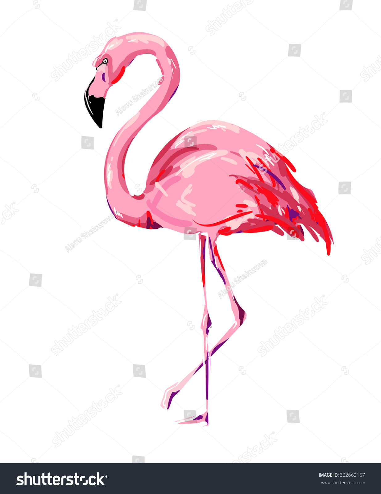 Flamingo Vector Illustration - 302662157 : Shutterstock